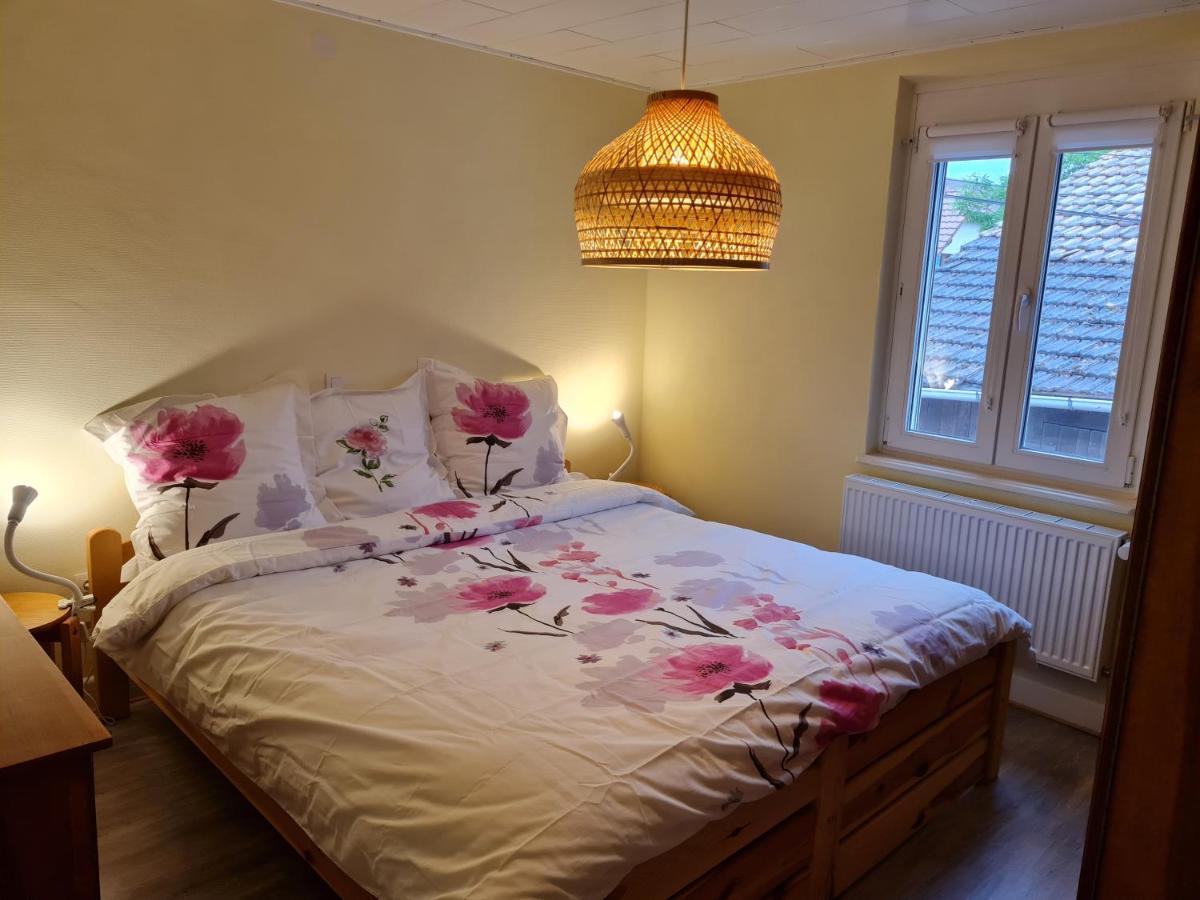 Les Chouchous Du Ried 2 Apartment Saasenheim